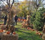 PumpkinPatchSetup PumpkinPatchSetup